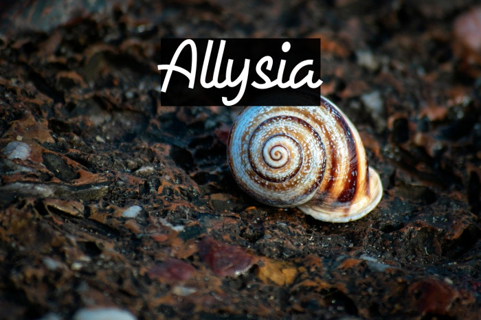 Allysia Example 3