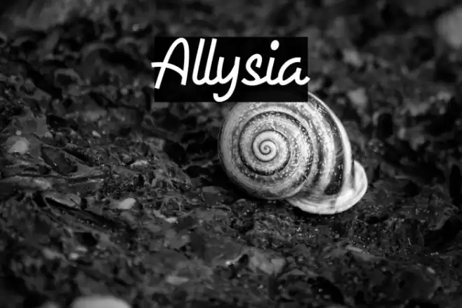 Allysia Font examples