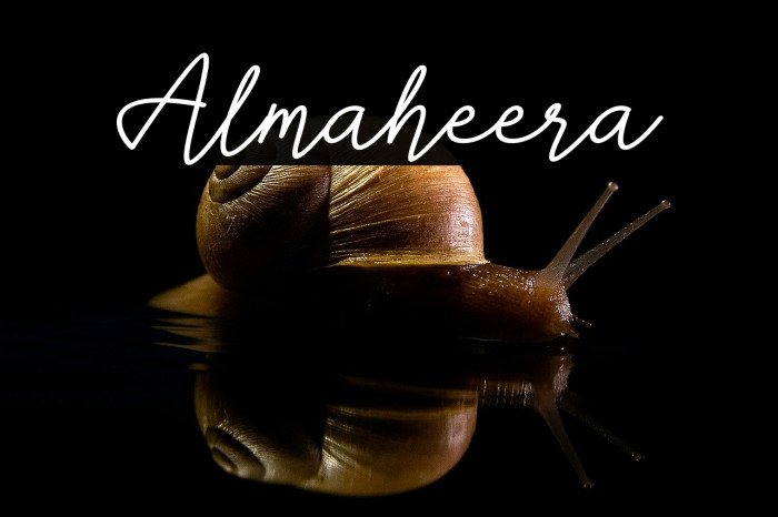 Almaheera Example 1