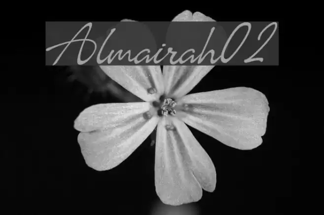 Almairah02 Font examples