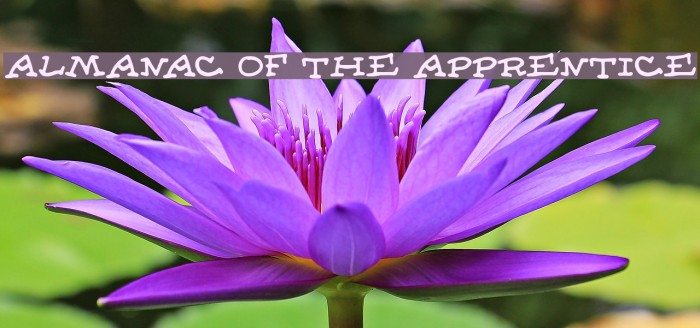 Almanac of the Apprentice Font examples