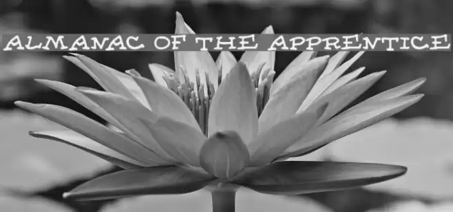 Almanac of the Apprentice Schriftart examples