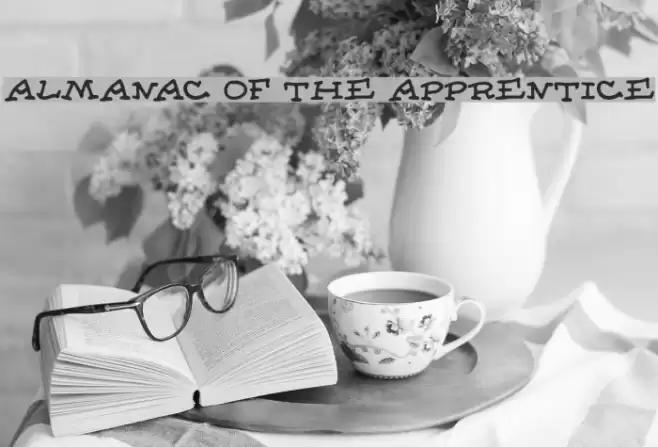 Almanac of the Apprentice Schriftart examples