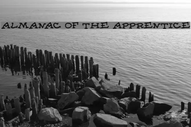 Almanac of the Apprentice Schriftart examples