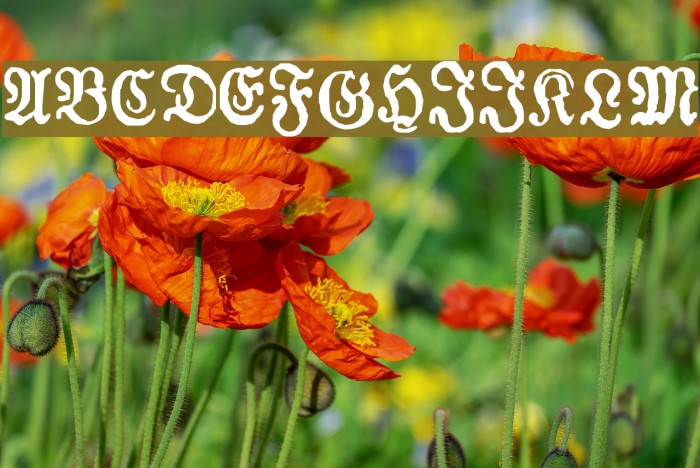 Almanacques Font examples