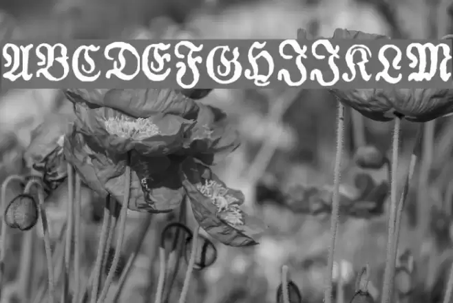 Almanacques Font examples