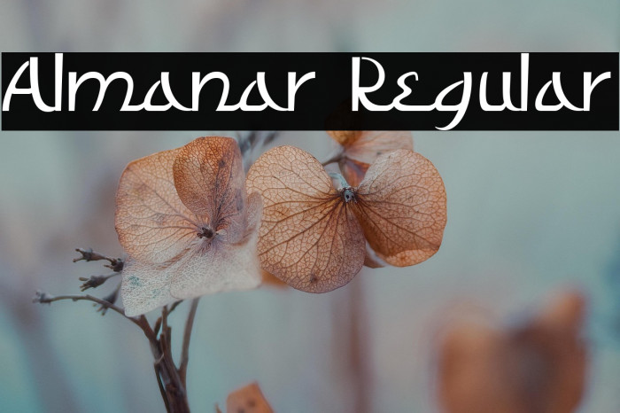 Almanar Regular Example 3