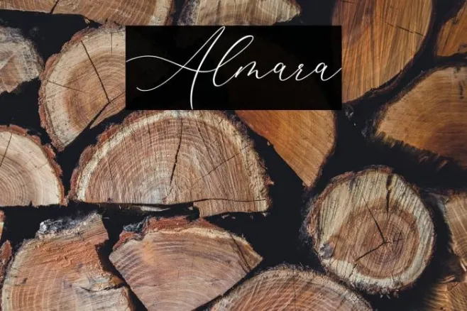 Almara Example 1