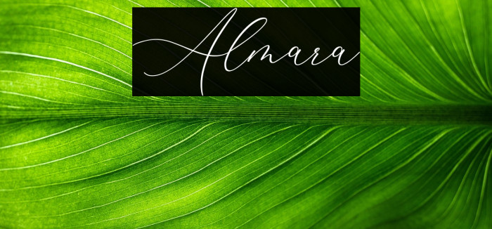 Almara Example 3