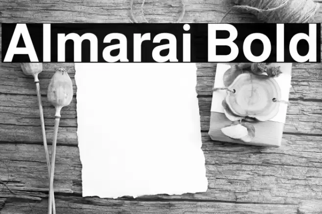 Almarai Bold Font examples