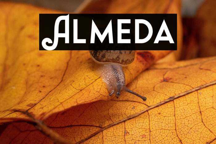 Almeda Example 2