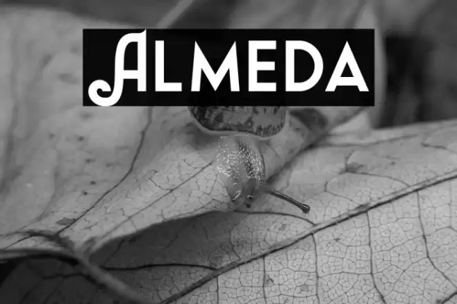 Almeda Font examples