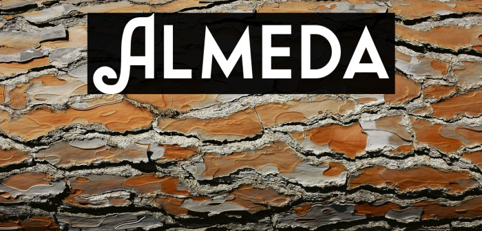 Almeda Example 3