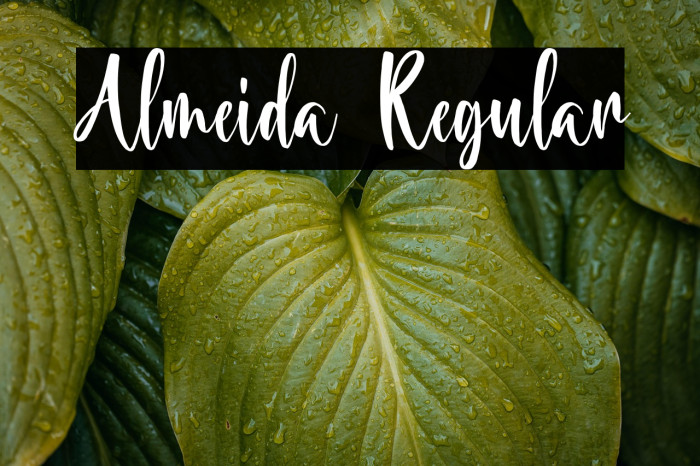 Almeida Regular Example 1