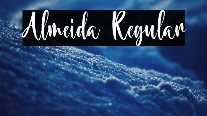 Almeida Regular Example 2