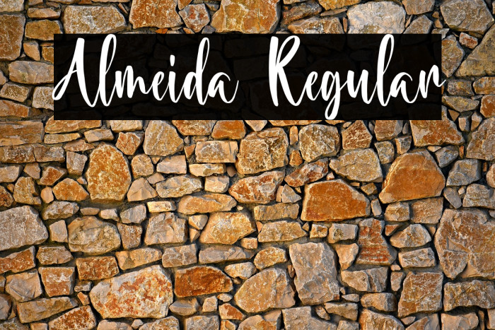 Almeida Regular Example 3