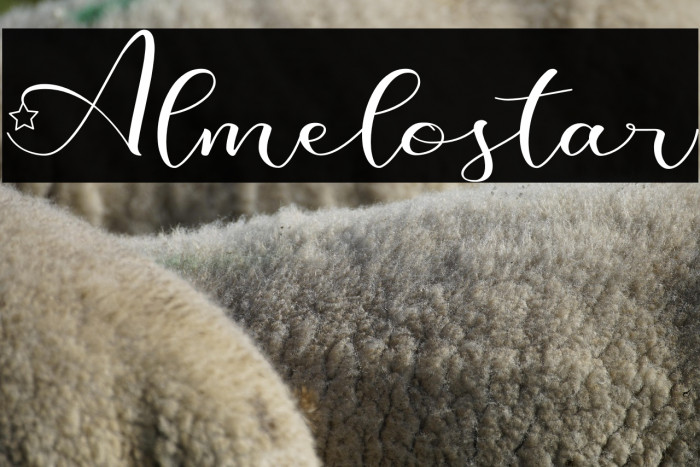 Almelostar Example 2