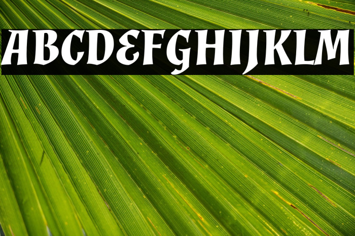 Almendra Bold Italic Example 1