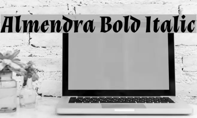 Almendra Bold Italic Font examples