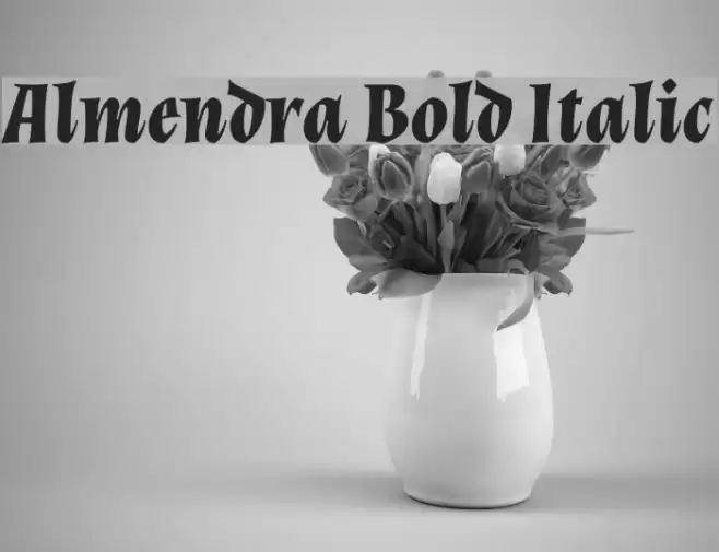 Almendra Bold Italic Font examples