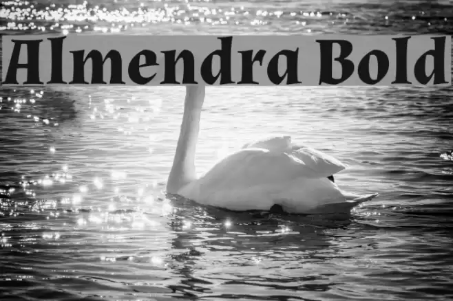 Almendra Bold Font examples