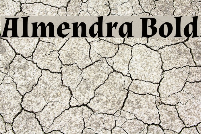 Almendra Bold Font examples