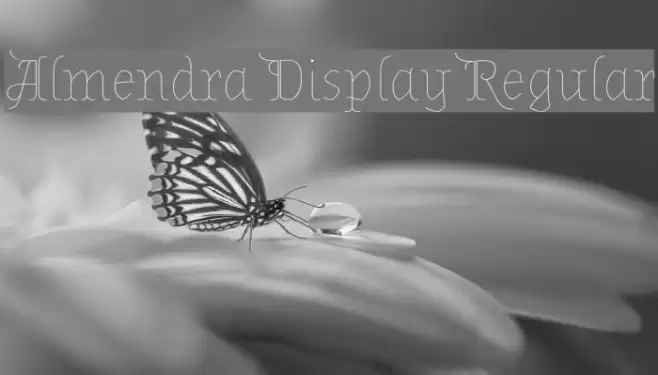 Almendra Display Regular Font examples