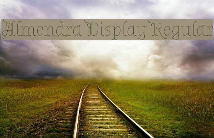 Almendra Display Regular Example 2