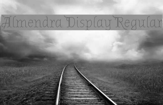 Almendra Display Regular Font examples