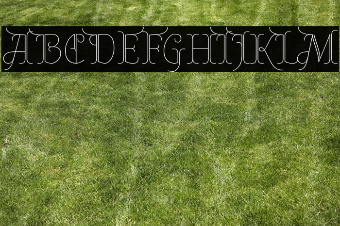 Almendra Display Example 1