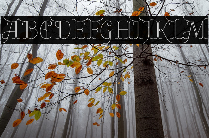 Almendra Display Example 2