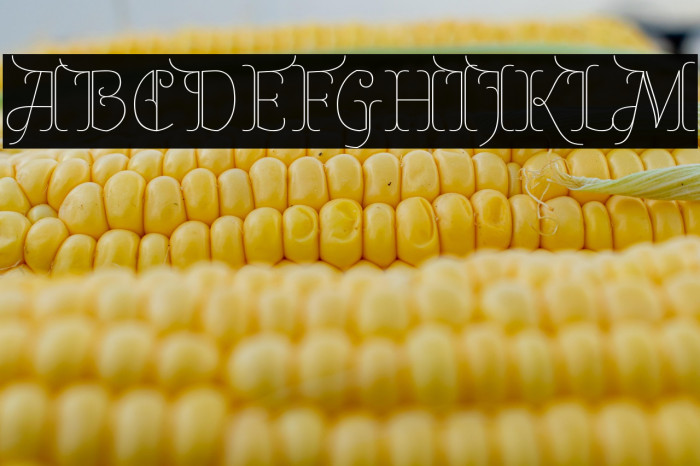 Almendra Display Example 3