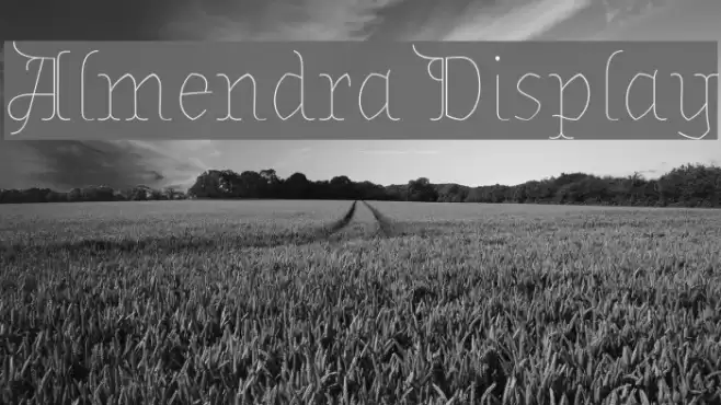 Almendra Display Font examples