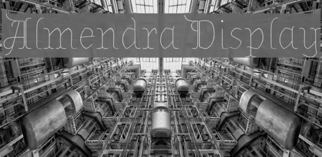 Almendra Display Font examples