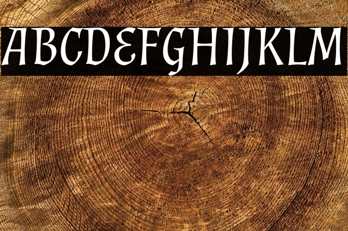 Almendra Italic Example 2