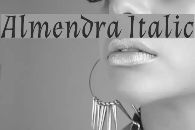 Almendra Italic Polices examples