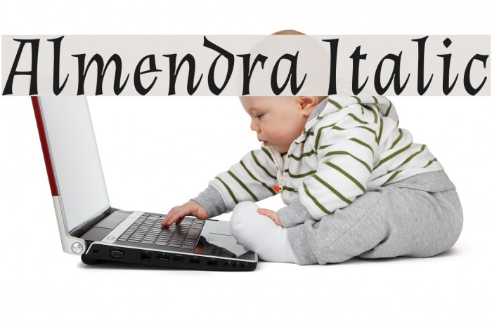 Almendra Italic Font examples