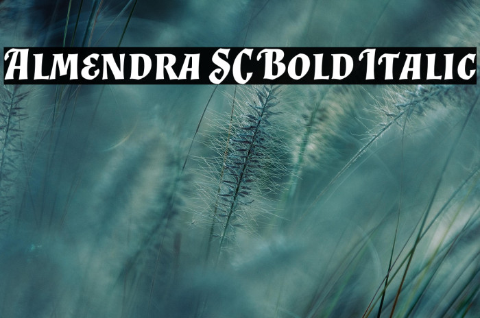 Almendra SC Bold Italic Example 1