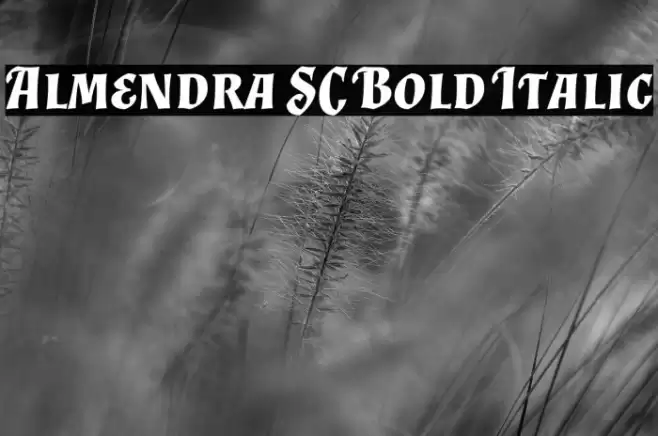 Almendra SC Bold Italic Font examples