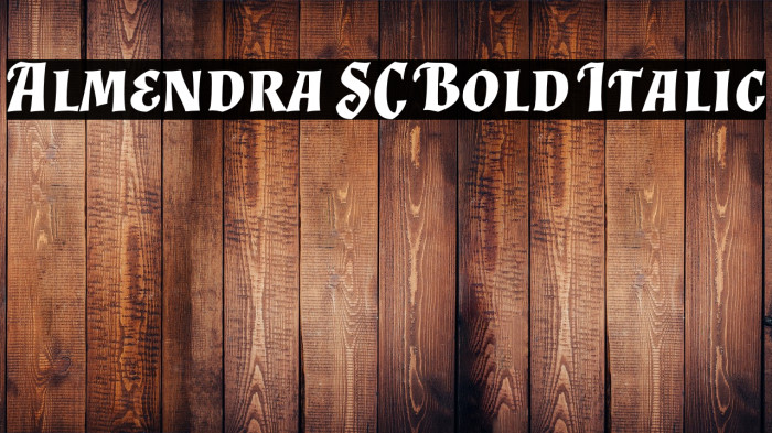 Almendra SC Bold Italic Example 2