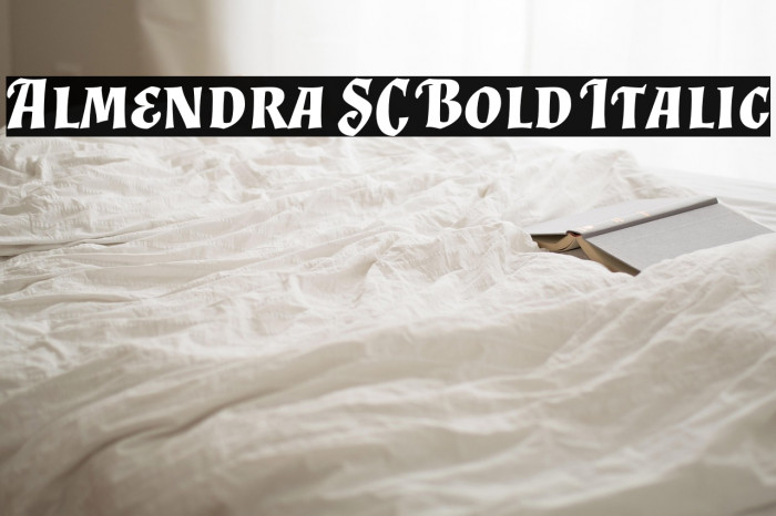 Almendra SC Bold Italic Example 3
