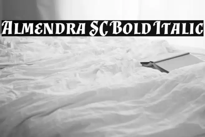 Almendra SC Bold Italic Font examples