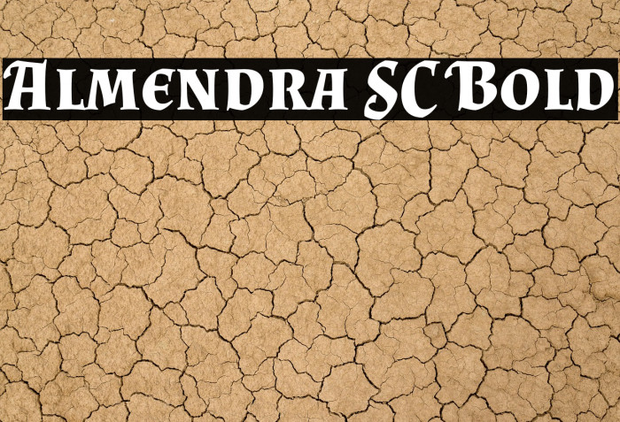 Almendra SC Bold Example 1