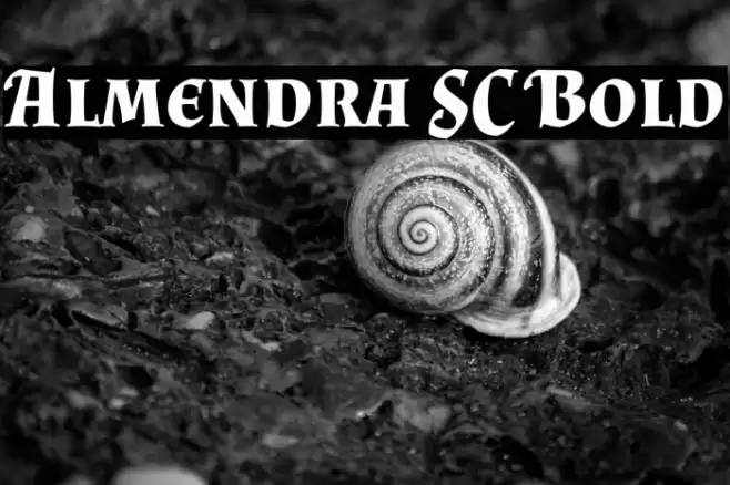 Almendra SC Bold Font examples
