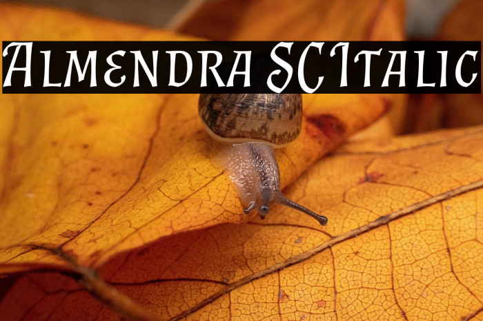 Almendra SC Italic Example 1