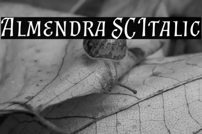 Almendra SC Italic Font examples