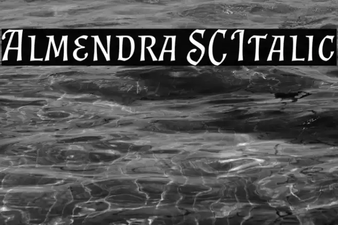 Almendra SC Italic Font examples