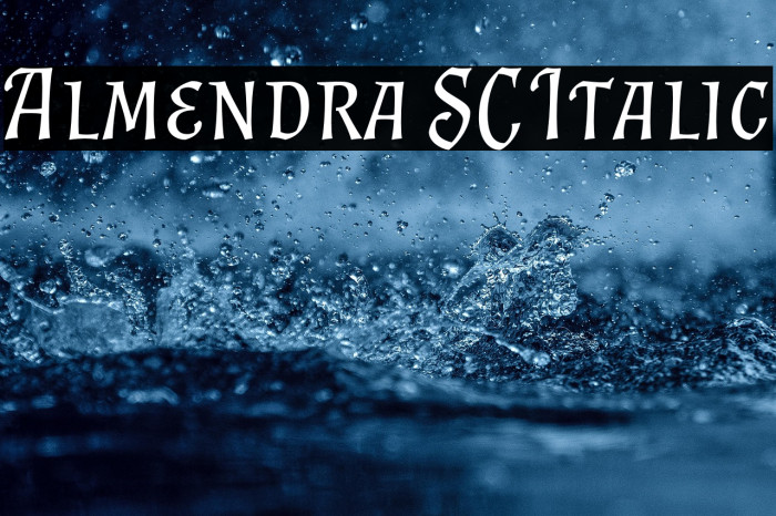 Almendra SC Italic Example 3