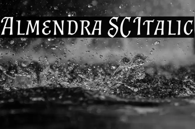 Almendra SC Italic Font examples