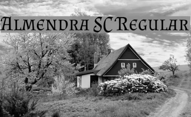 Almendra SC Regular Font examples